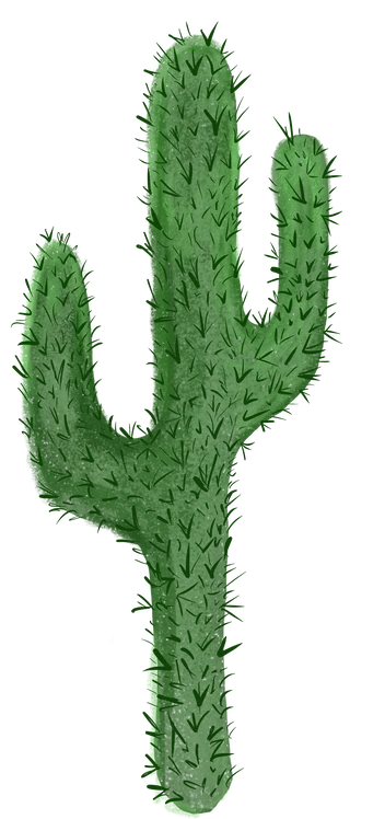 a green saguaro cactus